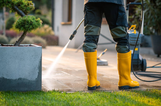 Best Roof Power Washing Services  in Harrison, NJ